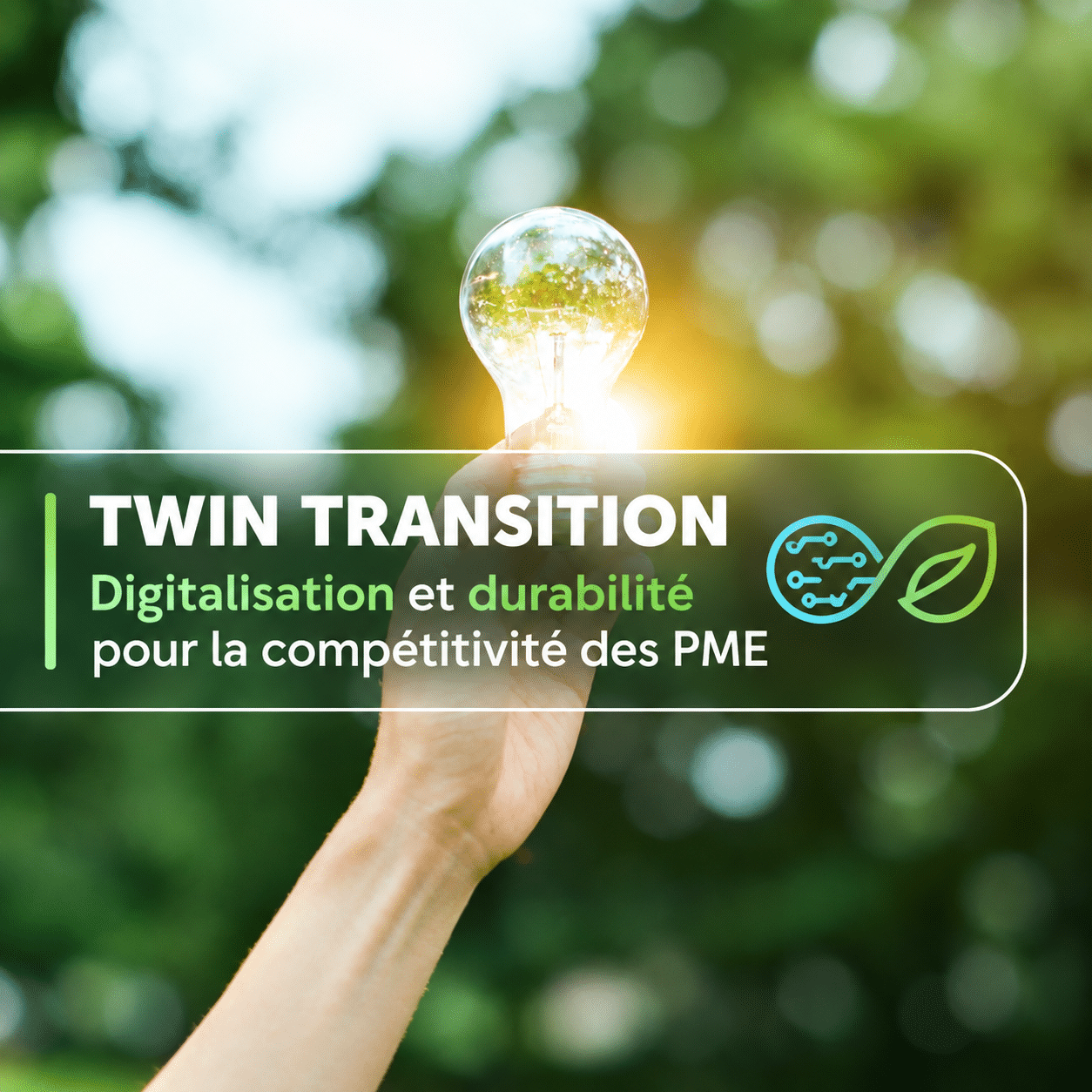 TWIN TRANSITION - Digitalisation et durabilité pour la compétitivité des PME